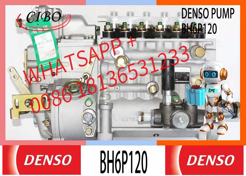 Engine Parts Shanghai C6121 3306 Diesel Engine Longbeng Fuel Injection Pump BH6PA110 BH6P110 BH6P120