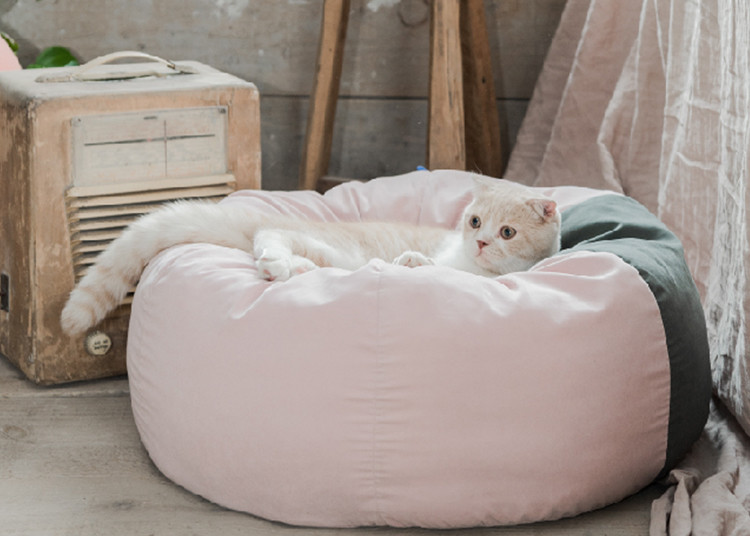 Soft Easy Wash Dog Beds For Large Dogs Washable Medium Patched Kennel Teddy