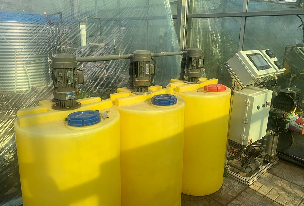 Hydroponics Stromal Humidity Control Multi-Span Seedling Glass Greenhouse