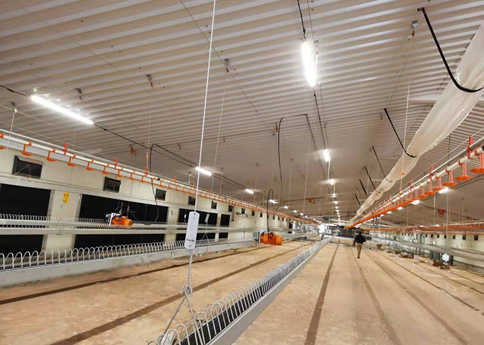 Automatic Galvanized Chicken Farm Equipment 1.5kgs/M Chain Feeding System