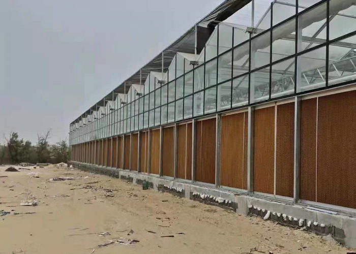Water Production Agricultural Greenhouse Manufacturer Growing Hydroponic System Rooling Bench System