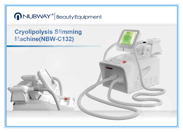 Portable CE FDA approved antifreeze slimming cryo cryolipolysis fat freezing machine for salon spa