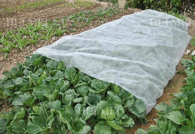 Plants Non Woven Polypropylene Landscape Fabric Environmental Friendly