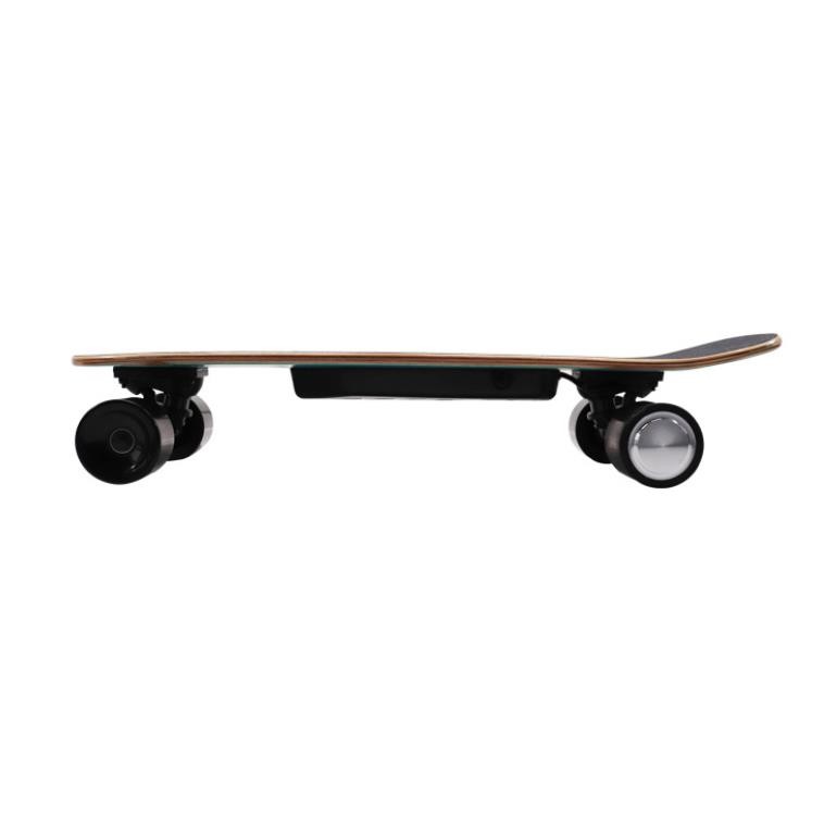 Adjustable Speed Cruiser Electric Skateboard With Wireless LED Remote