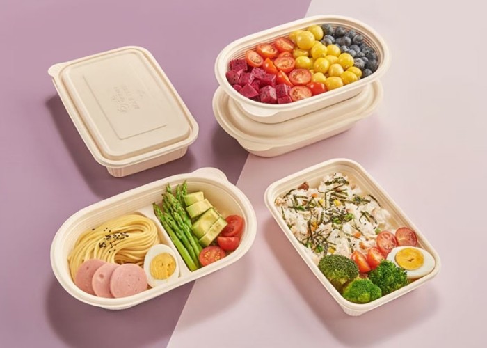 Plastic Biodegradable Disposable Food Container Making Machine Automatic