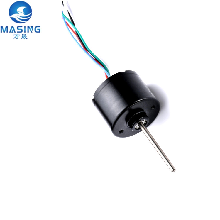 BLDC6032 24 Volt Brushless DC Motor High Power 3000rpm M8 Shaft For Fan Motor