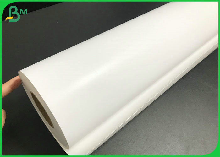 200gsm 260gsm One Side Luster Pigment Ink Jet Photo Paper Roll With RC Coated