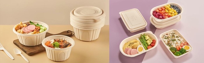 Tableware Forming Automatic Blister Machine Tooling Multi Layer Co Extrusion Complete In One Step