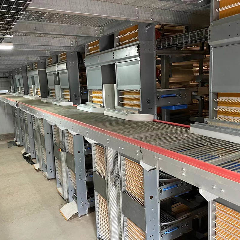 Galvanized Stainless Egg Conveyor Belt Systems For Egg Collection And Grading