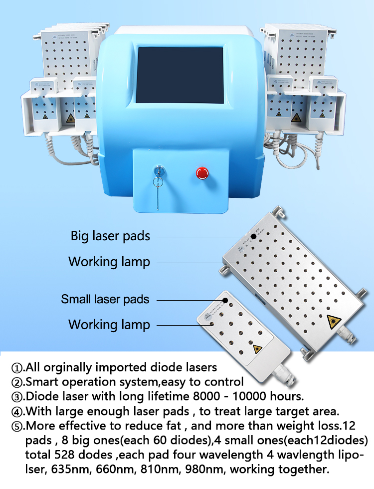 Four Wavelength Diode Zero Laser Lipo Laser Therapy Machines 12 Pads Slimming Beauty Machine