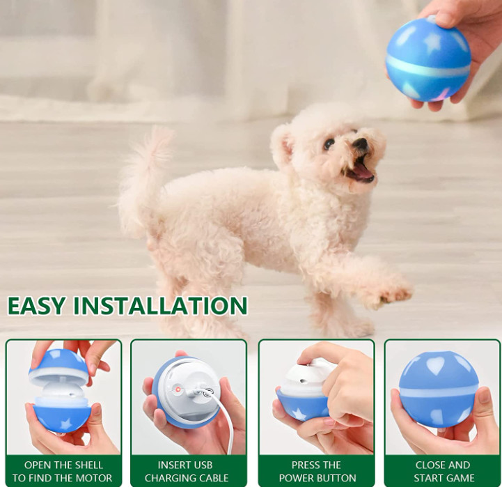 self moving dog ball