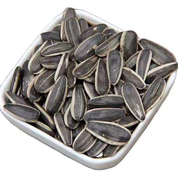 Amazon hot sale Manufacturers wholesale Inner Mongolia high quality sunflower