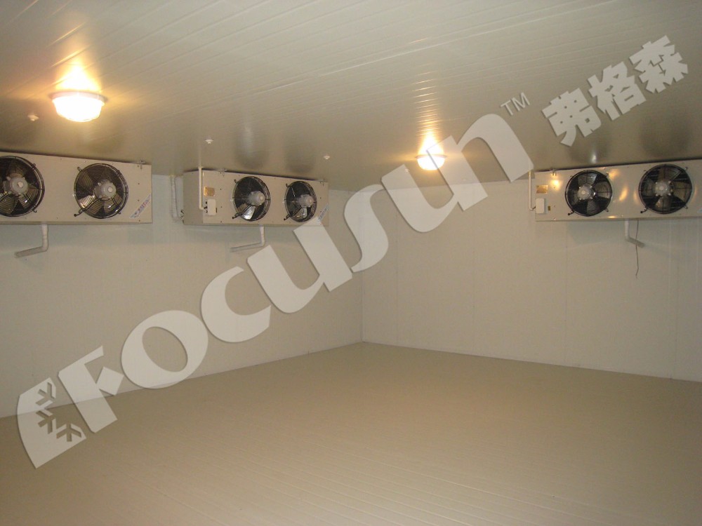 Cold Room Freezer for Vegetables Fruit Meat And Seafood