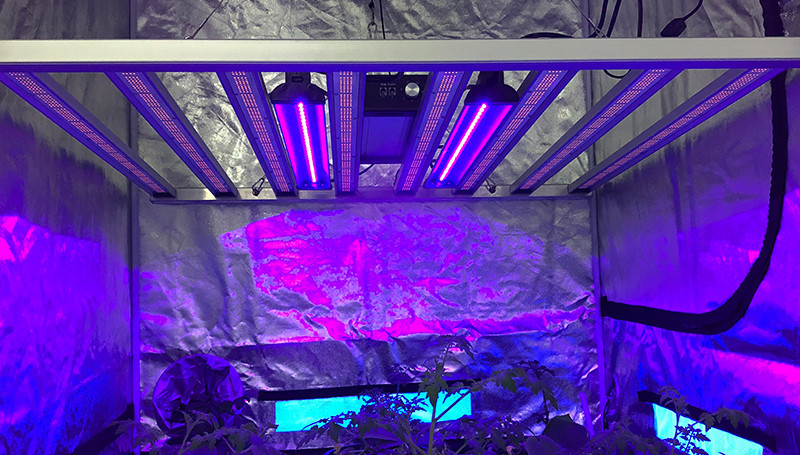 30W 2.5ft Seoul UV LED Bar Light VS Horticulture Lighting Group