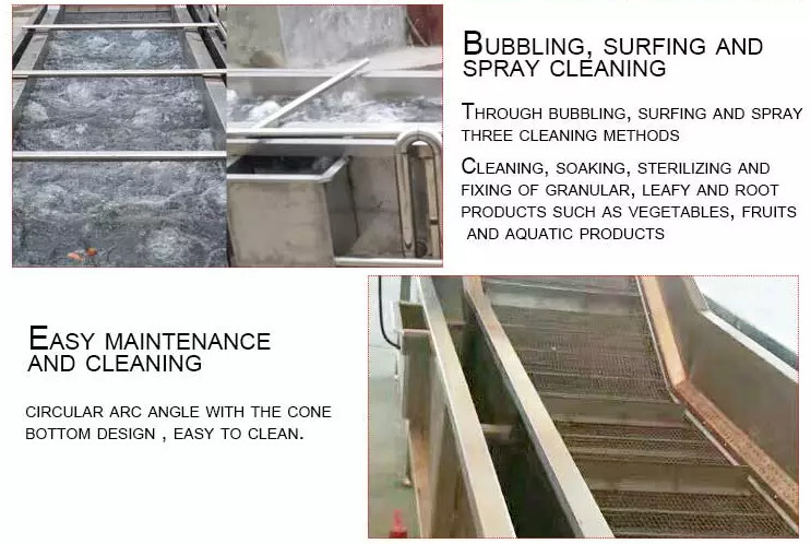 Multifunctional Ginger Washing Double Bubble Water Spinach Industrial Fruit Washing Ozone System