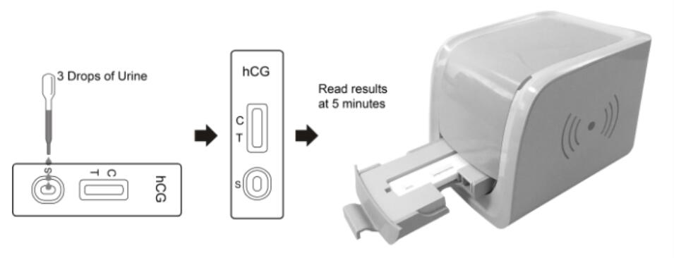 15-1000mIU/Ml Hcg Rapid Test Reader Rapid Pregnancy Test Kit Convenient