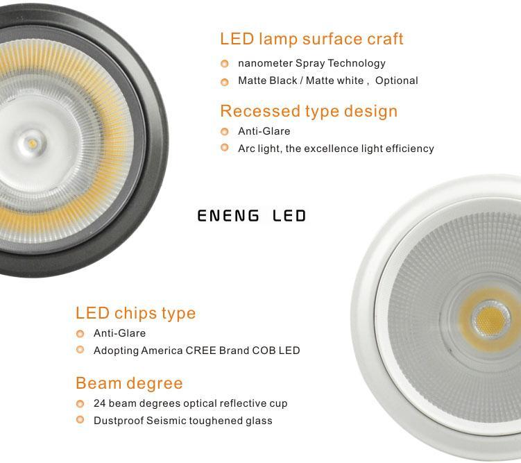 high lumens 85LM/W E27 12W led par30 spot light with cob led led par30 light Track lamp to Replace 50W metal halide