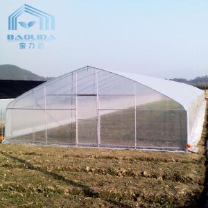 Buy cheap Agricultural Tomatoes Single Layer Greenhouse With 80 Micron Film product