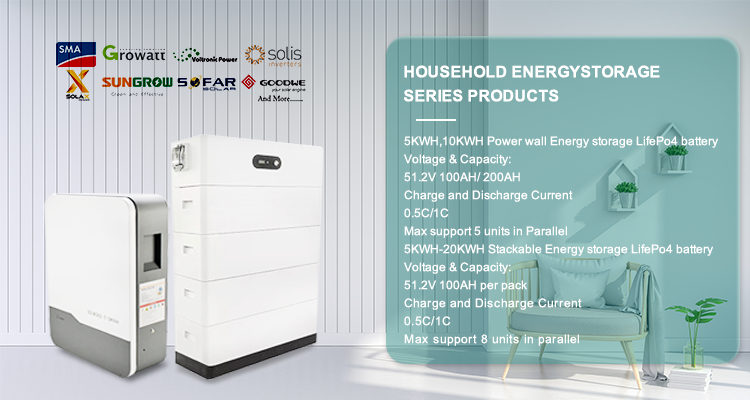 51.2V 100Ah/200Ah Energy Storage System Wall Mount Battery Case