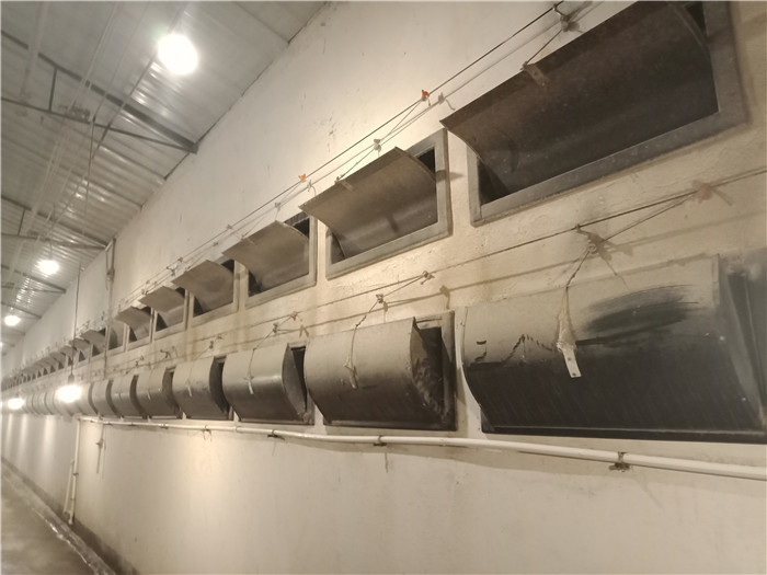 2400 * 2000 * 1500mm Farm Rabbit Cage Q235 Steel Wire / Plastic Material