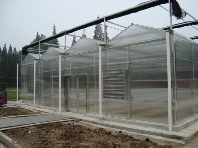 8m 9.6m 12m Span Width Agriculture Greenhouse For Hybrid Tomato Seeds And Vegetables