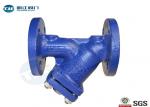 Flanged Y Strainer Valve Cast Steel Manual Operation Type ANSI B16.5