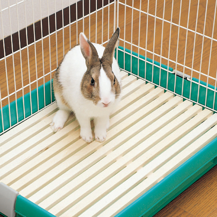 Building Reinforcing Stainless Steel Welded Rabbit Cage Wire Mesh,Bending, Welding, Decoiling, Cutting, Punching
