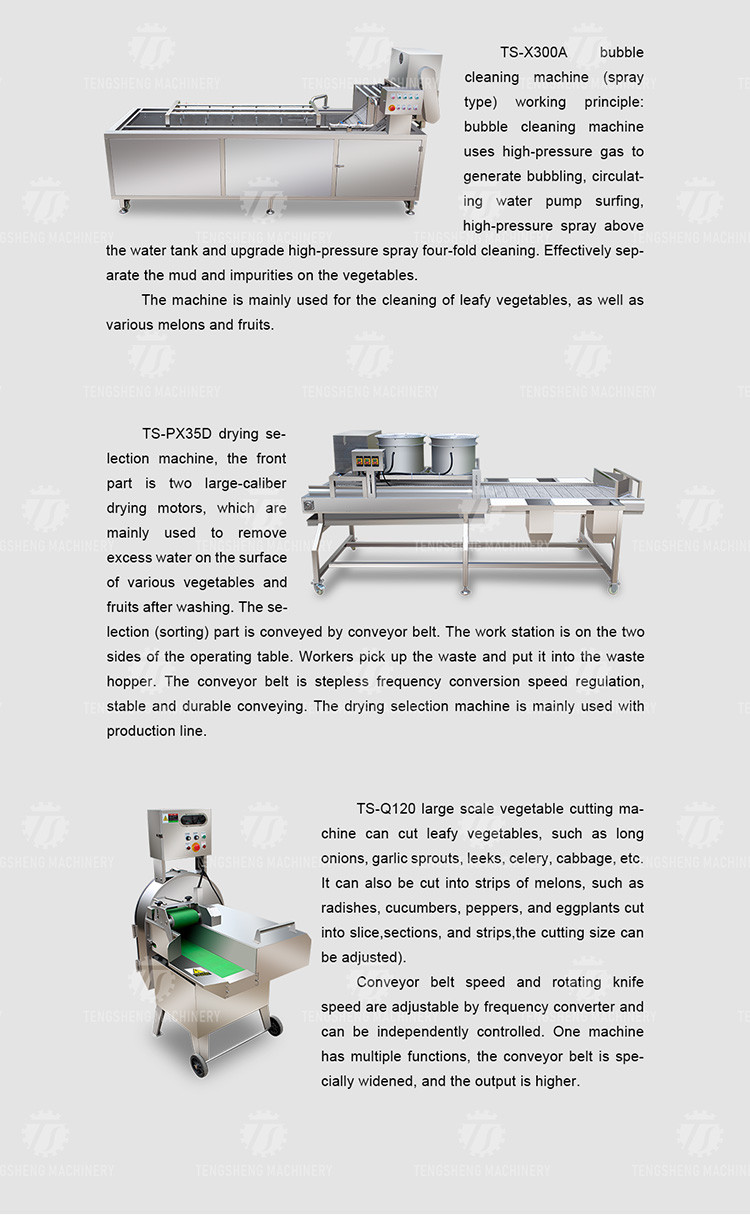 SS304 Fruit And Vegetable Processing Line For Central Kitchens
