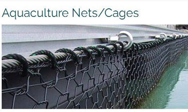 Hexagonal 2.5mm Gabion Mesh Baskets 50x60mm Woven Fish Cage Netting