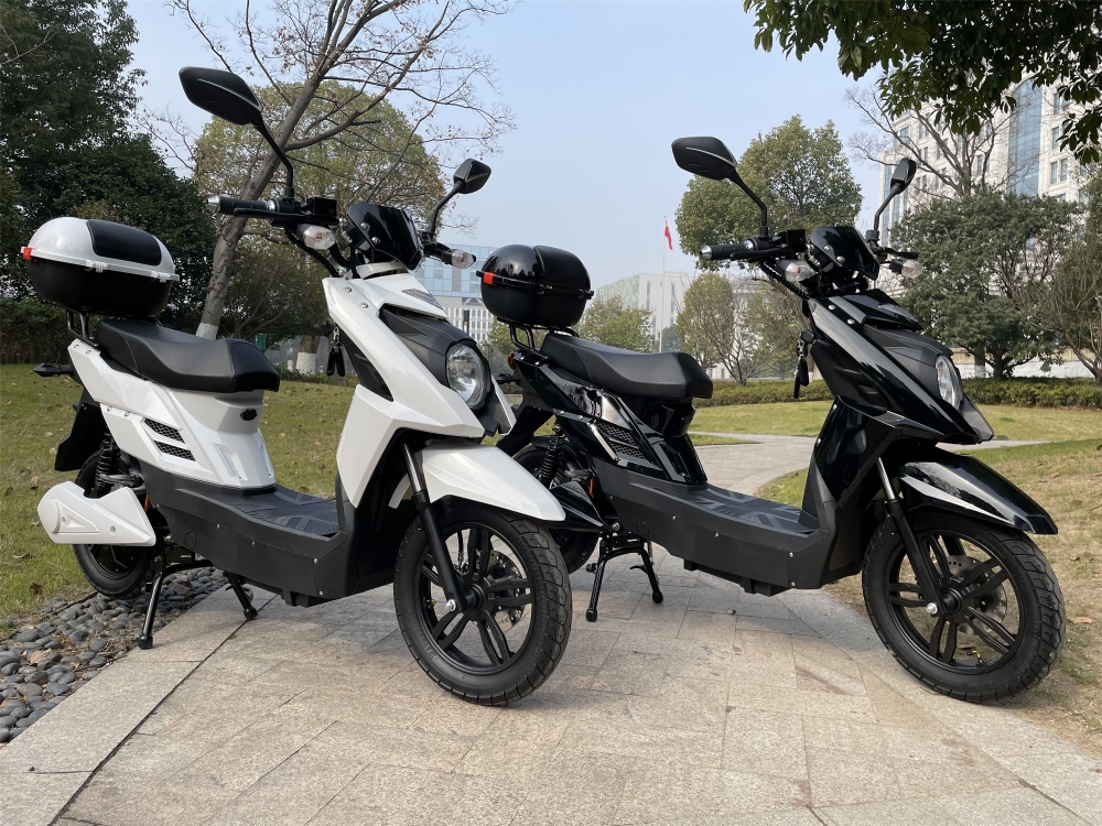 48V 800W Pedal Assisted Electric Scooter With LCD Display 20Ah Lead Acid Battery