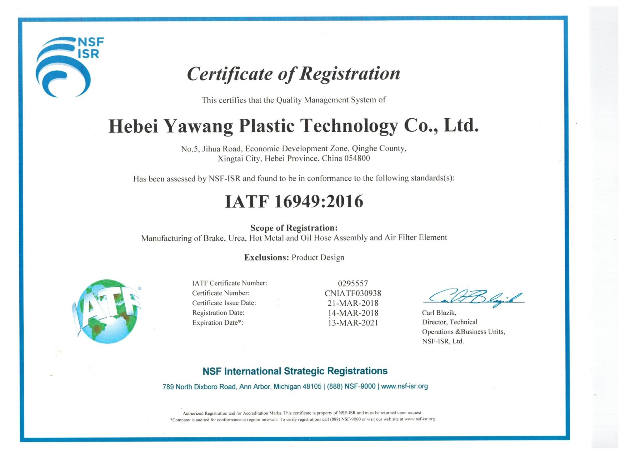 Processing Service Cutting Water Resistant TPE Extrusion Timber Window Seal Strip