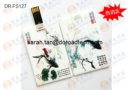Customized Colorful Printing Plastic Credit Card USB Flash Drives