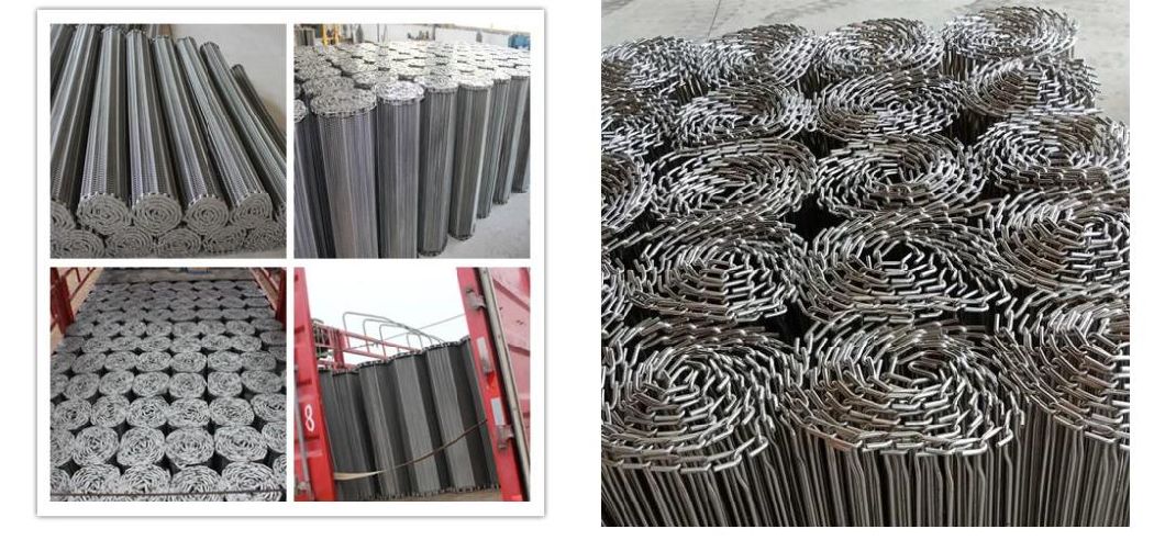 1000 Series Pitch 25.4mm Plastic Modular Conveyor Belt with Positrack