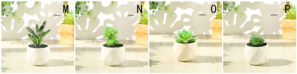 Mini Succulent Artificial Potted Plants Strange Shape Green Platsic Material