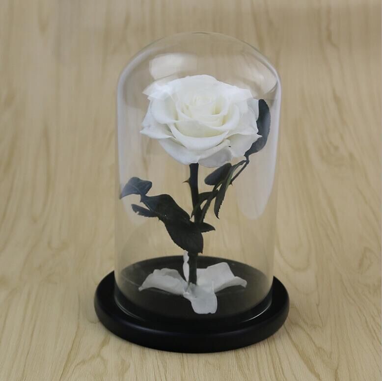 Preserved Flower Eternal Rose in Glass Long Lasting Flowers Home Decoration Everlasting Flowers