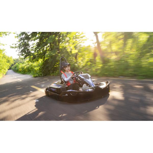 Single Disc Brake Electrical Go Kart 3000RPM Pro Racing Go Kart