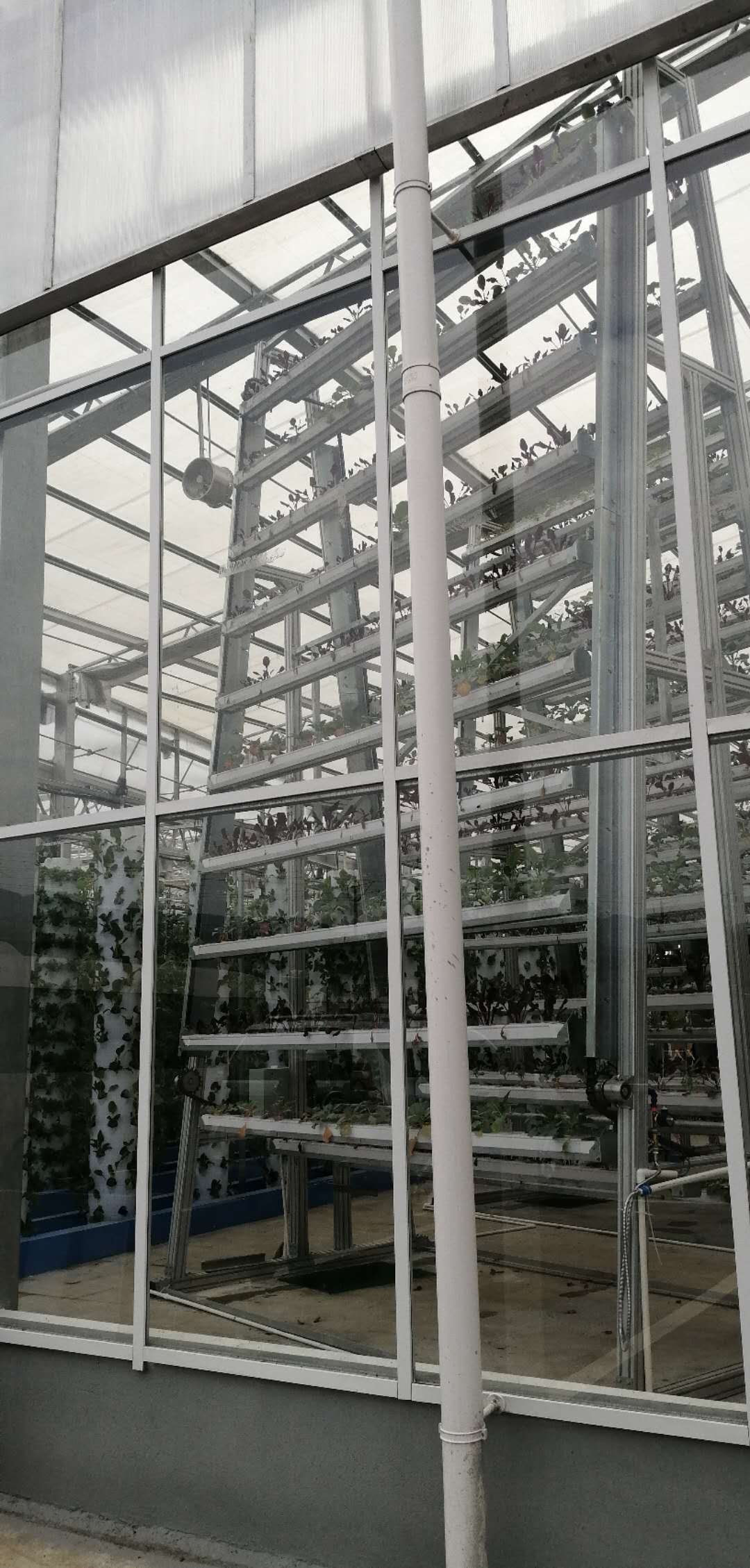 Irrigation And Hydroponics Equipment Hydroponic Growing Systems