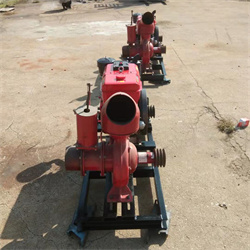 Fire Emergency Agriculture Water Pumps Diesel Engine Water Pump