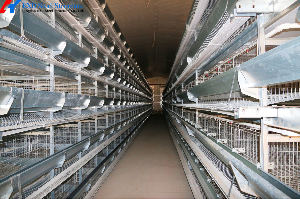 Plastic Broiler Poultry Equipment Full Automatic Broiler Pan Feeder Customized