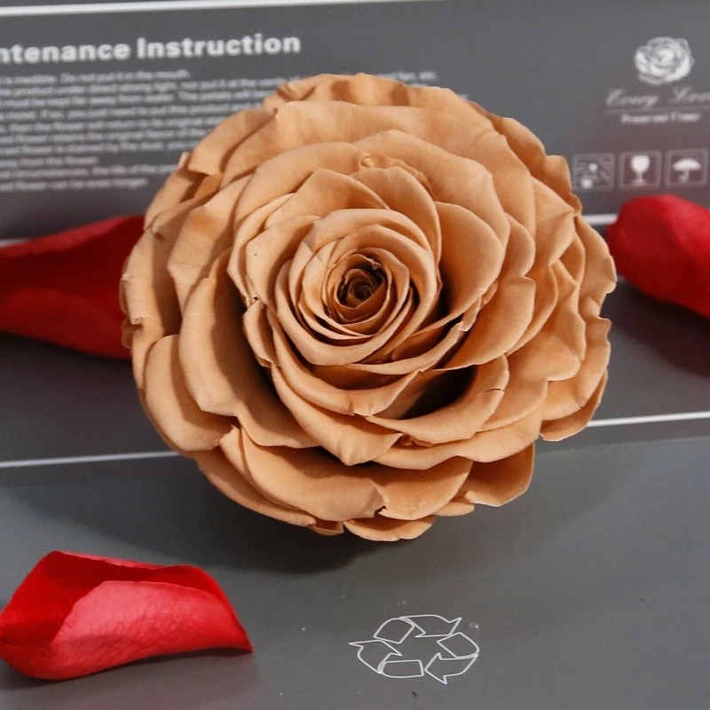 New Technique Preserved Rose Handmade Real Forever Giant Rose