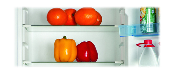 BCD-160 MANUAL DEFROST DOUBLE DOOR REFRIGERATOR