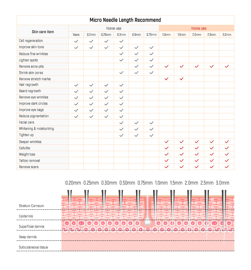 Newest Hot Sale Professional Skin Auto MD Electroporation Needle System Microneedling Derma Pen