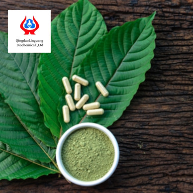 High purity CMC sodium salt SCMC Sodium carboxymethylcellulose Sodium CMC