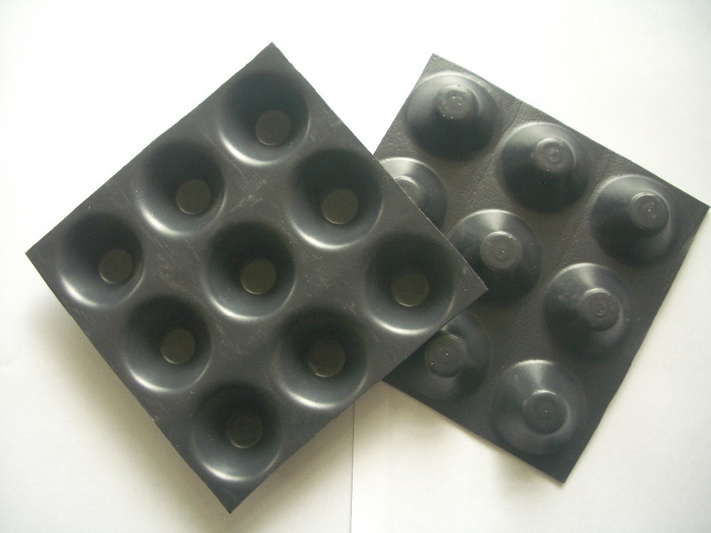 Modern Engineering Construction Waterproofing Water Storage Drainage Board for Roof Garden