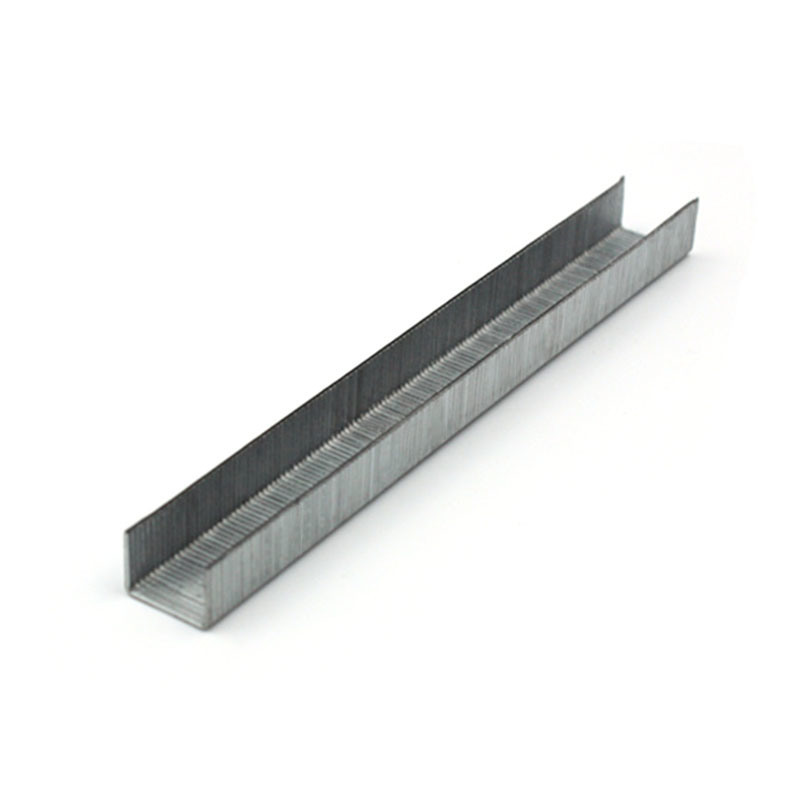 21 Gauge Staple 1/2 Crown 12mm 80 Series 8012 Furniture Decoration