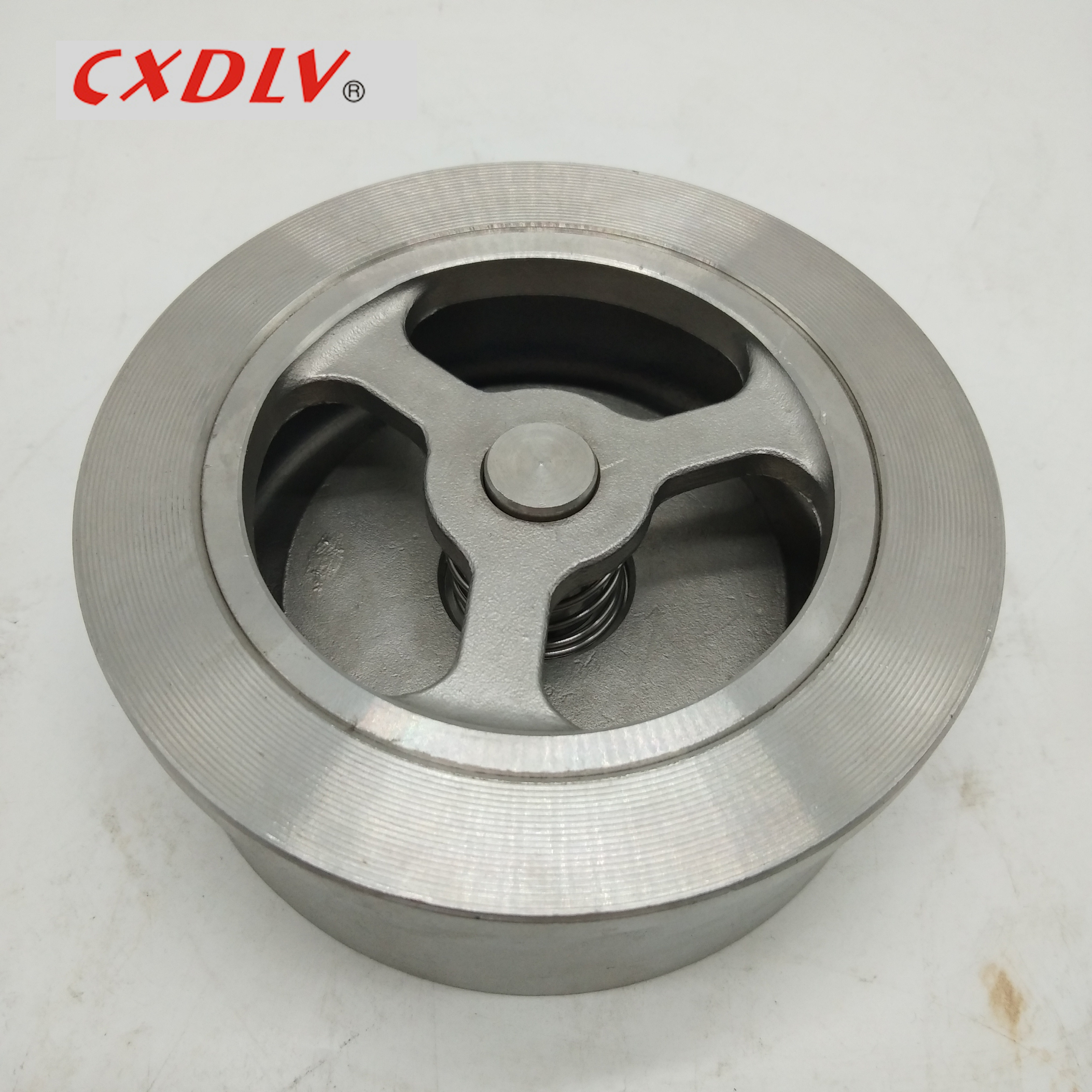 Customized Wafer Type Plate Check Valve SS316 SS304 WCB