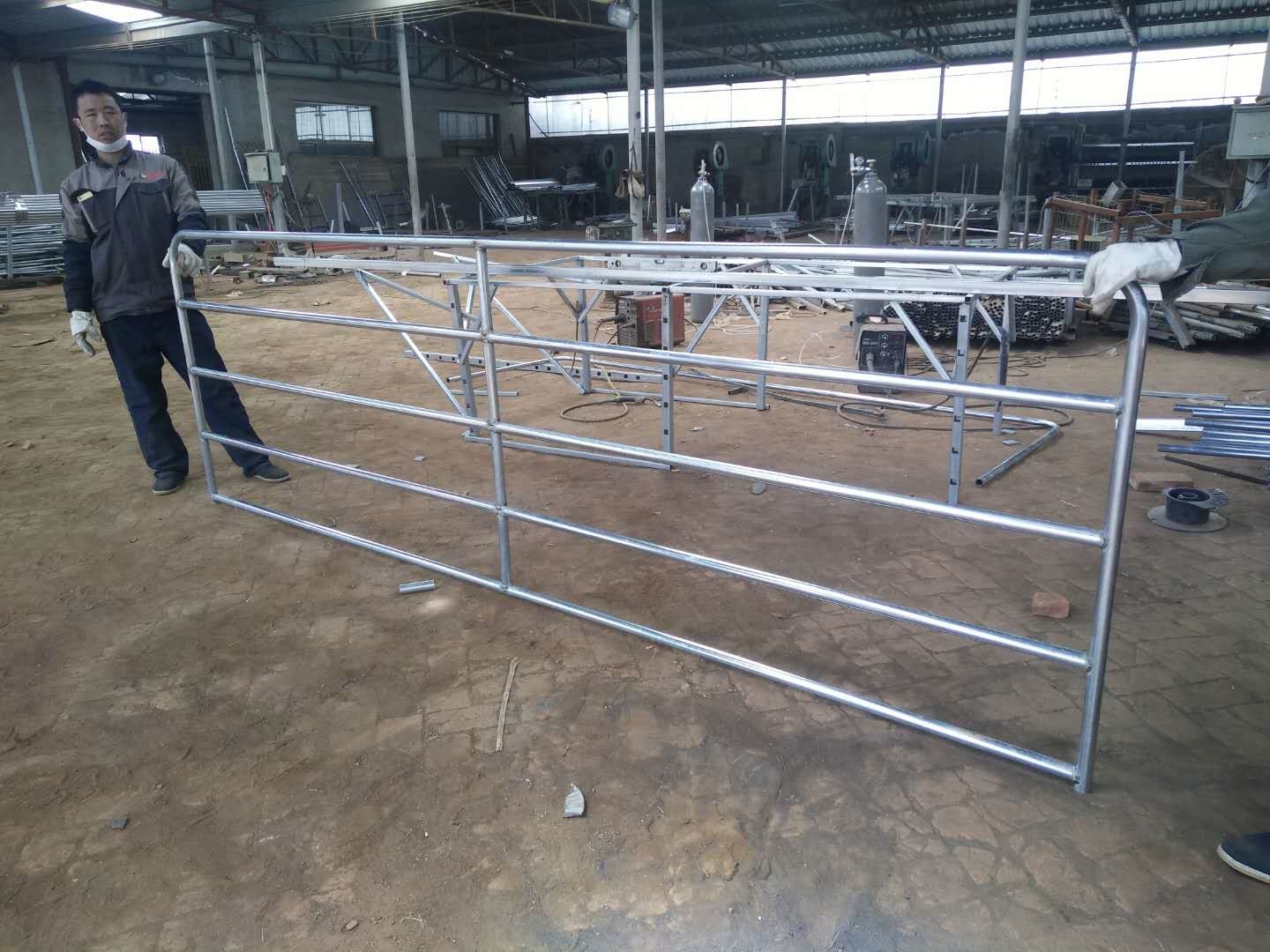 Anti Rust Galvanized 2400x1170mm Livestock Handling Equipment