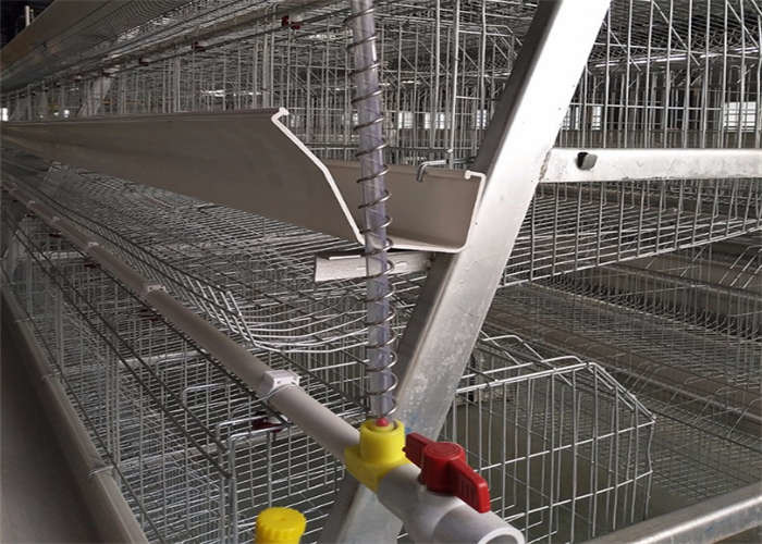 3 Tier 4 Doors A Frame Layer Cages / Q235 Chicken Battery Cage