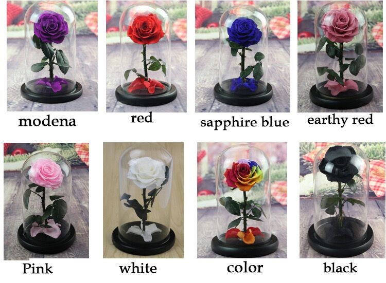 OEM Perfect Valentines Day Gifts Multiple Colours Preserved Everlasting Real Rose Flower in Glass Dome