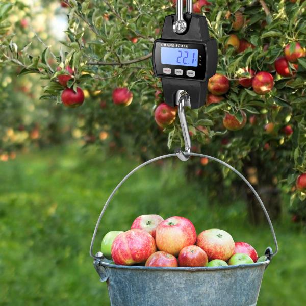 OCS-L Mini Digital Crane Scale Industrial Hook Weighing Scale High Accuracy Digital Load Cell 3*AAA Dry Battery Steel OEM 300KG